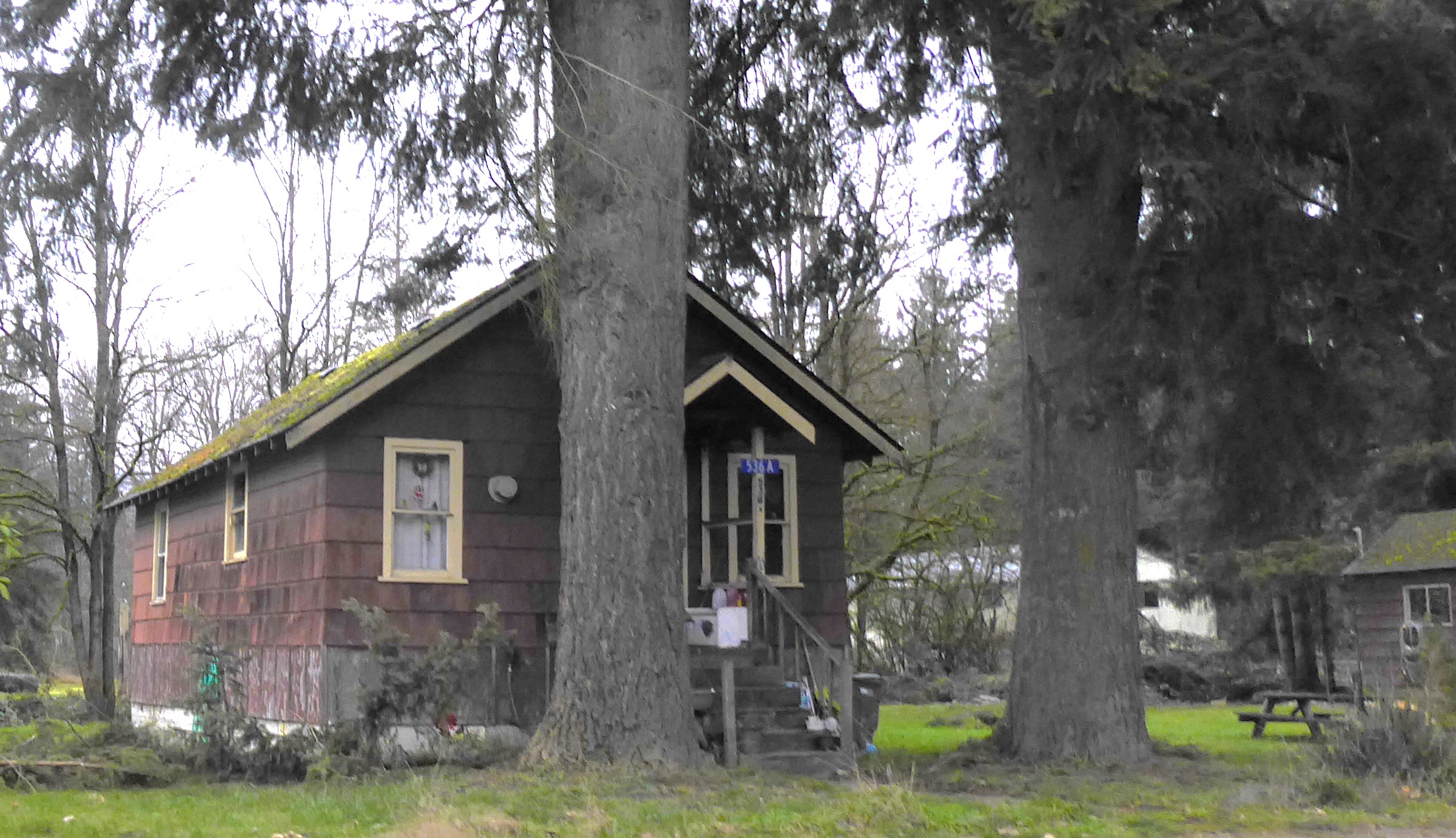 photo