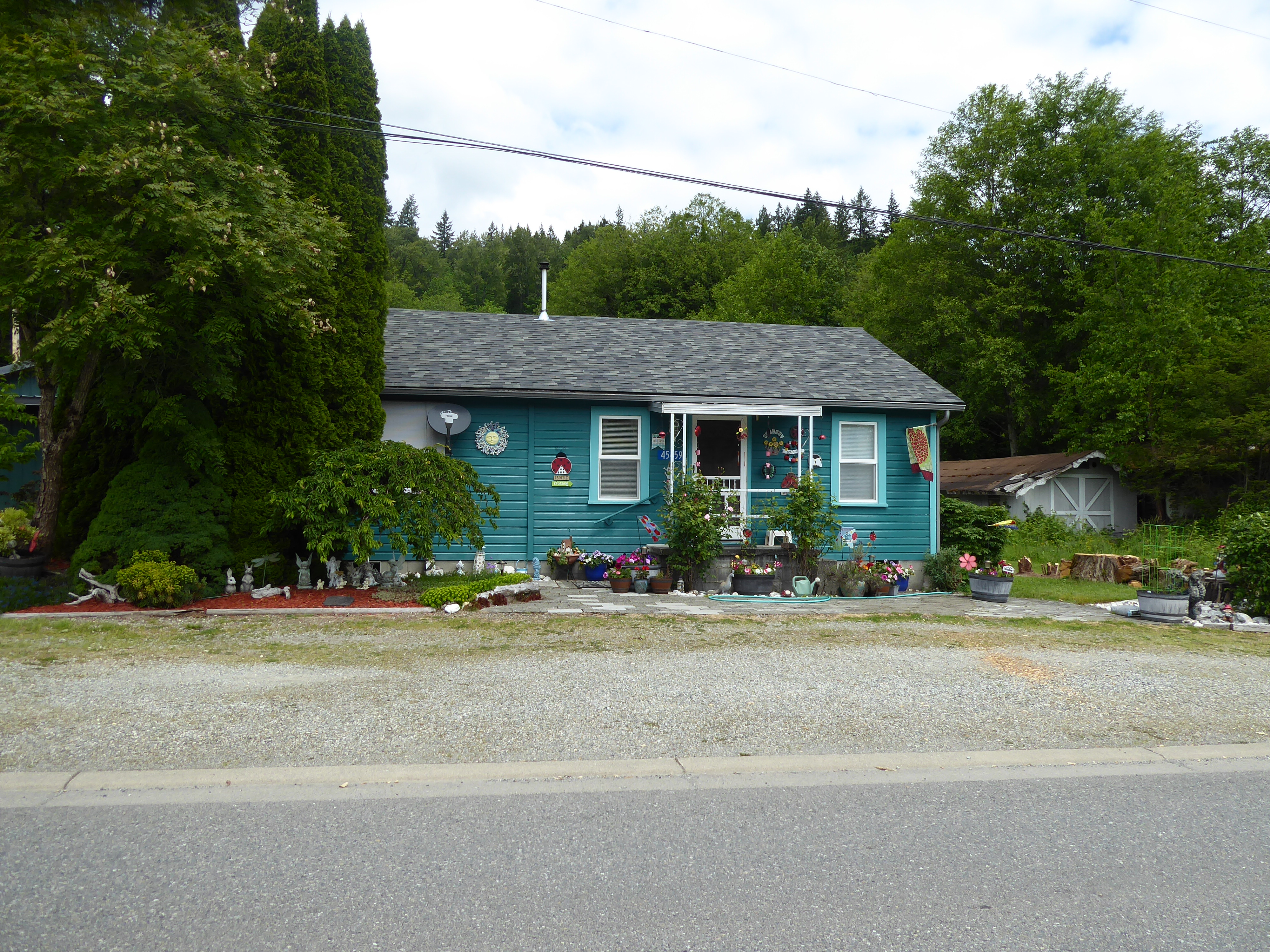 photo