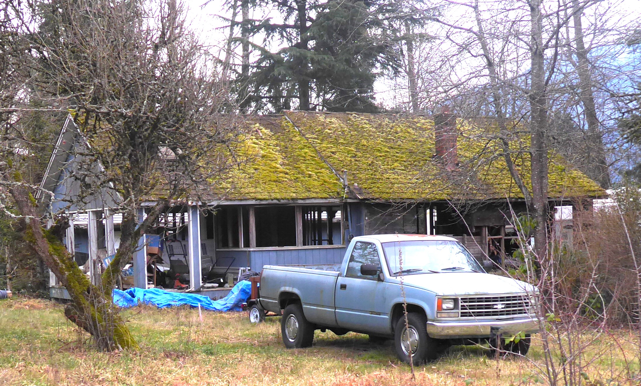 photo