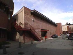 juvenilepic1.jpg (12274 bytes)