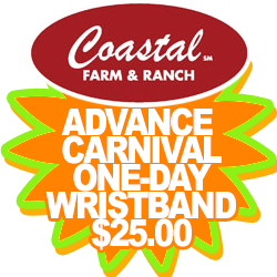 carnivaldeal