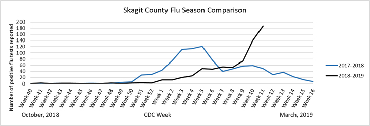flu diagram