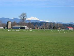 farmland Legacy