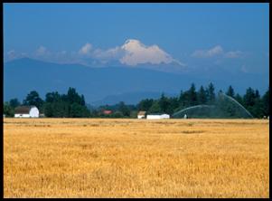 farmland