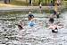 aaaClearLakeTriathalon047.jpg