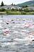 aaaClearLakeTriathalon113.jpg