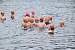 aaaClearLakeTriathalon1152.jpg