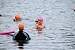 aaaClearLakeTriathalon1159.jpg