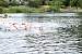 aaaClearLakeTriathalon1175.jpg