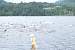 aaaClearLakeTriathalon126.jpg