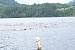 aaaClearLakeTriathalon130.jpg