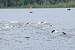 aaaClearLakeTriathalon132.jpg
