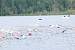 aaaClearLakeTriathalon134.jpg