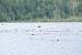 aaaClearLakeTriathalon144.jpg