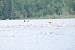 aaaClearLakeTriathalon146.jpg