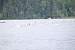 aaaClearLakeTriathalon153.jpg