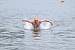 aaaClearLakeTriathalon178.jpg