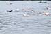 aaaClearLakeTriathalon208.jpg