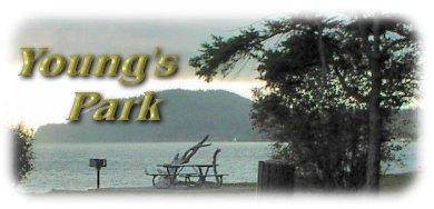 Young's Park Logo