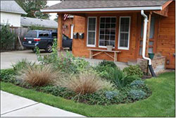 Rain Dog Designs, Gig Harbor, WA