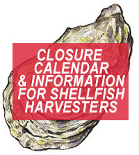 closureinfo
