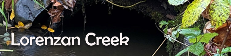 Lorenzan Creek Restoration Project