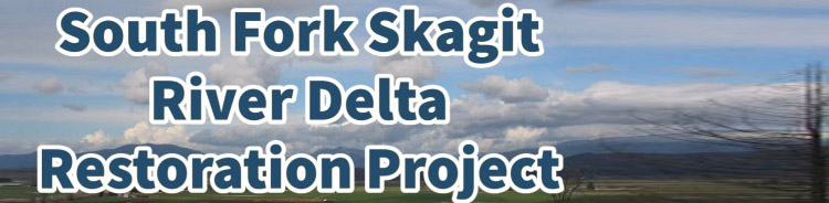 Lorenzan Creek Restoration Project