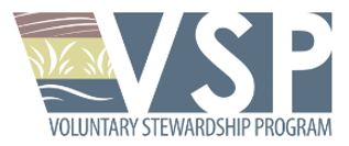 VSP logo VSP logo