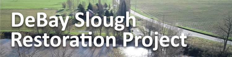 DeBaysRestoration Project