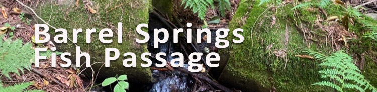 Barrel SpringsRestoration Project