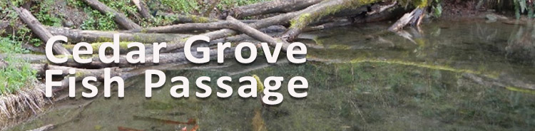 CedarGrove Restoration Project