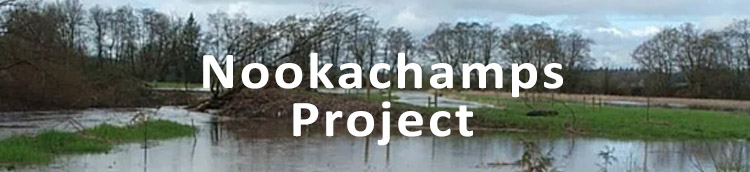 Lorenzan Creek Restoration Project