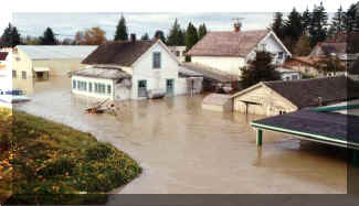 flooded homes.jpg (27041 bytes)