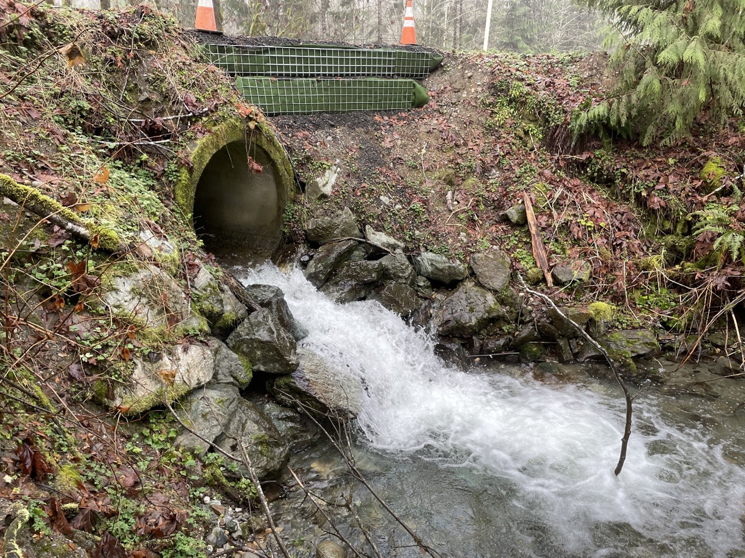 S. Osterman creek