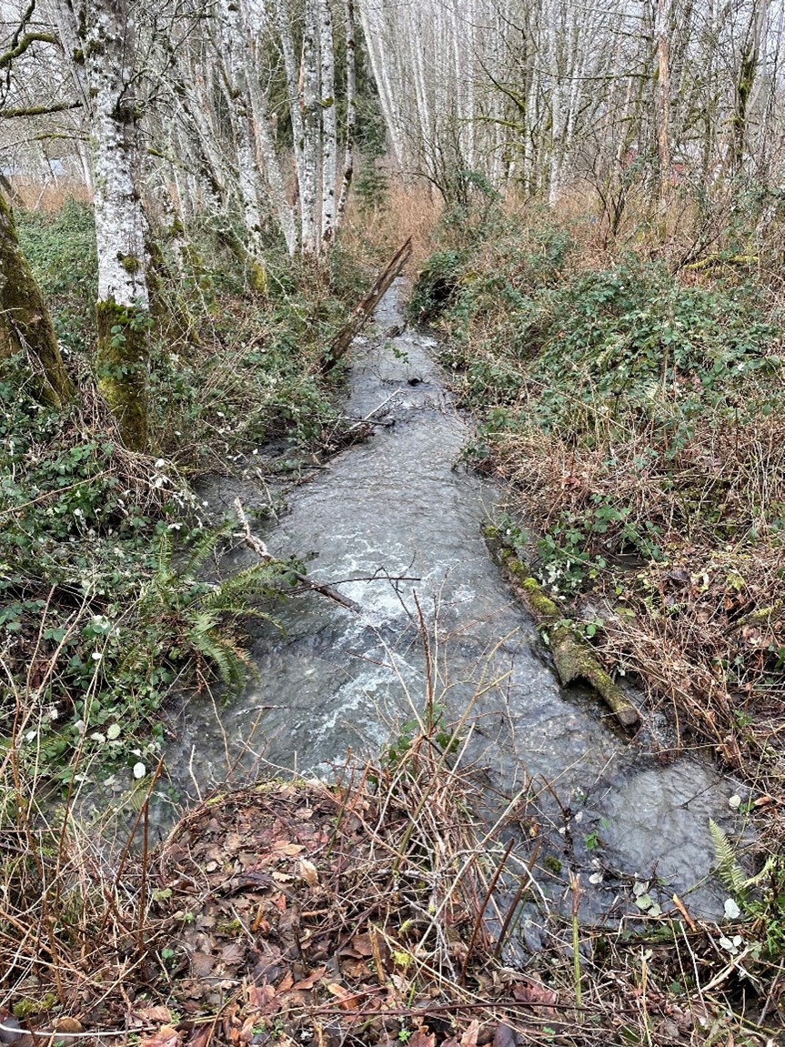 stevens creek